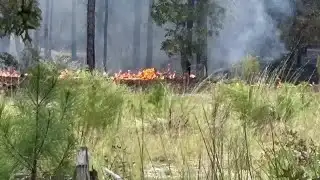 Fire crews cleared after battling woods fire in Kershaw County