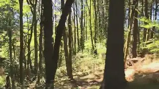 Fire crews prepare high risk areas