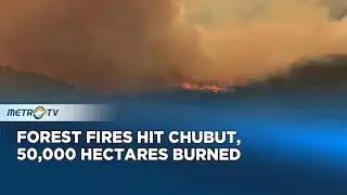 Fire disaster in Argentina, 230,000 hectares burned down