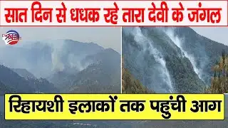 शिमला : सात दिन से धधक रहे तारा देवी के जंगल | | Fire | Shimla | Himachal |