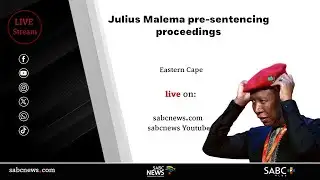 Firearm Discharge Case | Julius Malema back in court for pre-sentencing