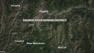 Firefighter severely injured by tree this weekend