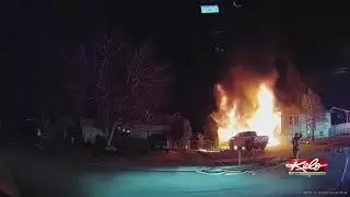 Firefighters keep birds safe during garage fire