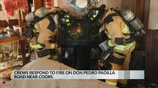 Firefighters put out fire, save elderly fish