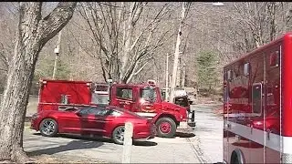 Firefighters put out swift-moving brush fire in Palmer