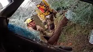 Firefighters Rescue Driver After Mulholland Drive Cliff Fall