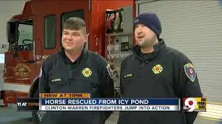 Firefighters rescue horse from icy pond