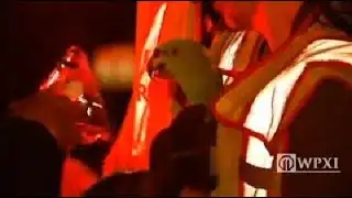 Firefighters save parrots screaming "help" and "fire"