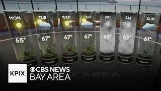 First Alert Sunday evening weather forecast - Feb. 1, 2026