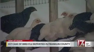 First case of bird flu reported in Franklin County