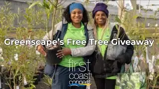 First Coast Connect: Greenscape’s Free Tree Giveaway