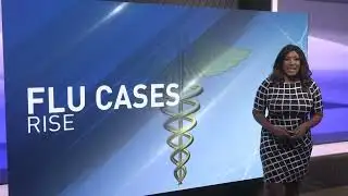 First flu season of 2026