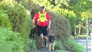 First guide dog trained to run with blind athlete