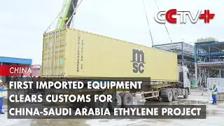 First Imported Equipment Clears Customs for China-Saudi Arabia Ethylene Project