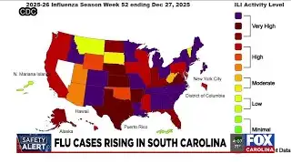 First pediatric flu-related death reported in South Carolina