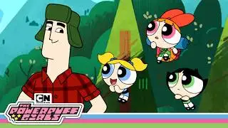 First Time CAMPING 🏕️🍃 ༄ | Powerpuff Girls | Cartoon Network
