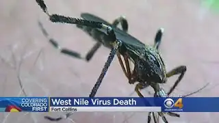First West Nile Virus Death Recorded For 2017