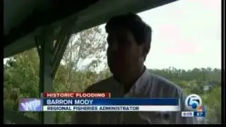 Fish kills found in canals