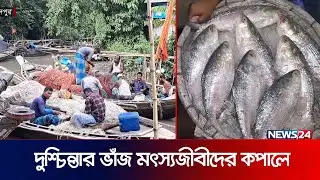 ভরা মৌসুমেও নেই ইলিশের দেখা | Fish Price | Ilish | Chandpur | News24