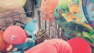 Five and below squishmallows