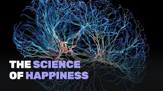 Five Pillars for a (Pretty) Happy Life