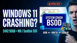 Fix Windows 11 24H2 Blue Screen Crashes | WD & SanDisk SSD BSOD Fix