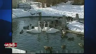 Flashback Friday: A Cheap Valentine