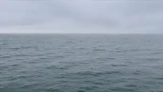 Flathead County Commissioners approve 159-foot lakeshore dock variance on Flathead Lake