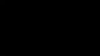 Flight 5342: Look at head to Flight 5342 Memorial Service