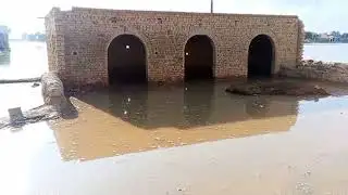 Flood In satluj .. Burewala