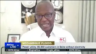 Floods wreck havoc in Mozambique