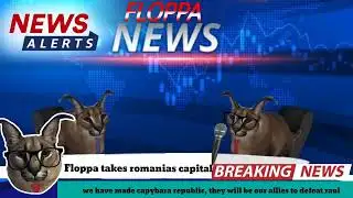Floppa News