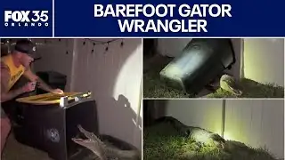 Florida alligator trapper catches large gator using a trash can