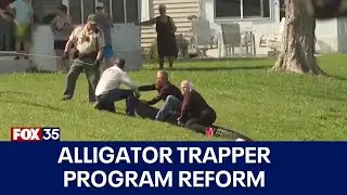 Florida alligator trappers program meeting points to lack of pay