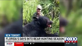Florida black bear hunt enters day five with kill count undisclosed