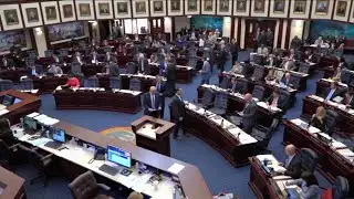 Florida Democrats call for a special session on gun control