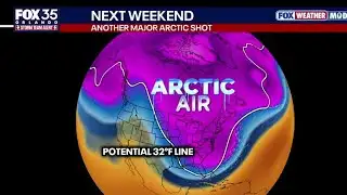 Florida Freeze: What do you want to know about the cold?