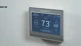 Florida Freeze: Your cold-weather questions answered