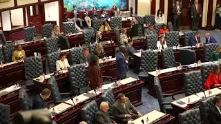 Florida lawmakers clash over immigration enforcement as Democrats push transparency measures