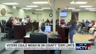 Florida lawmakers propose amendment to establish term limits for local elected officials