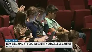 Florida lawmakers propose new bill to address food-insecure college students