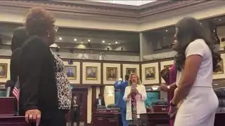 Florida Legislature approves redistricting map amid protests