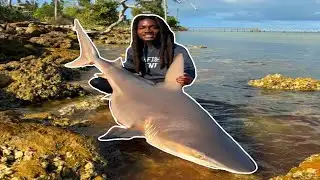 Florida Man Catches Shark With His Hands! (Bizarre News #2)