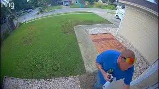 Florida Man Heading to Work Comes Face to Face With Black Bear