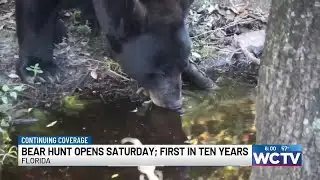 Florida opens first bear hunting season in decade