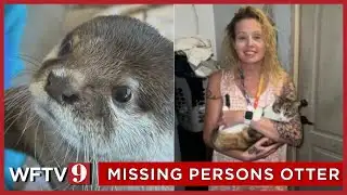 Florida police use trained otter to search pond for missing mom