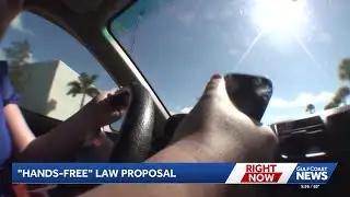 Florida proposes bill to ban handheld phone use while driving