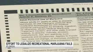 Florida recreational marijuana initiatives fail to make 2026 ballot