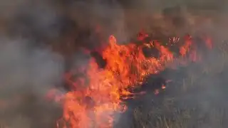 Florida residents urged to be diligent as state faces increased wildfire risks amid dry conditions