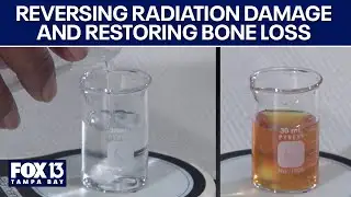 Florida scientists create treatment that could reverse radiation damage